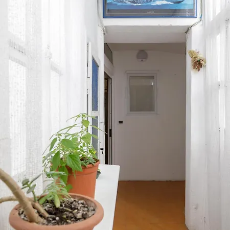 Pietra, Legno E Versi, Casa Carducci A * טריאסטה